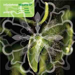 Infiniteloop  - Niguma
