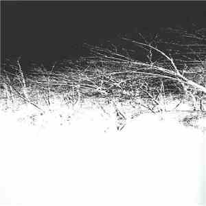 Jim O'Rourke - Steamroom 21