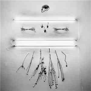 Absent In Body - The Abyss Stares Back - Vol. V