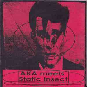 A.K.A. meets Static Insect - Untitled