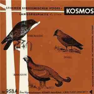 No Artist - Stimmen Einheimischer Vögel