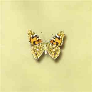 Sadia - A Language Of Butterfly Wings