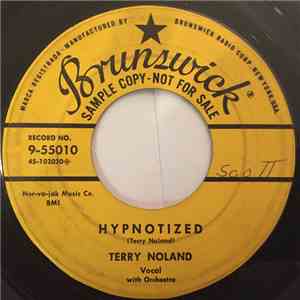 Terry Noland - Hypnotized