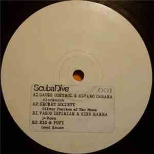 Various - Aluche Dub / Silver Peaches Of The Moon