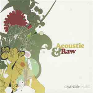 Andy Hopkins - Acoustic & Raw