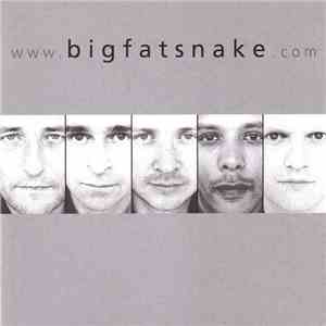 Big Fat Snake - Www.bigfatsnake.com