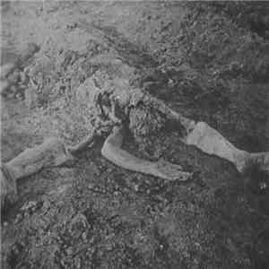 Destroying Blade - Голодомор 1921-1923