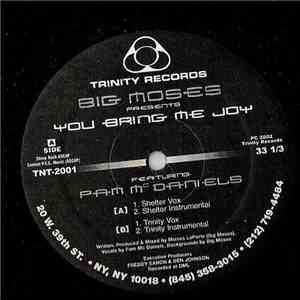 Big Moses Featuring Pam McDaniels - You Bring Me Joy