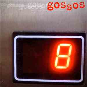 Gossos - 8