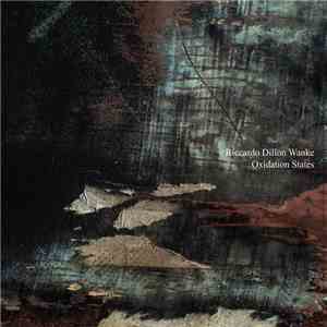 Riccardo Dillon Wanke - Oxidation States