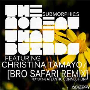 Submorphics - The Moment That Builds