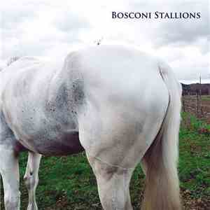 Various - Bosconi Stallions