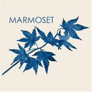 Marmoset - Marmoset