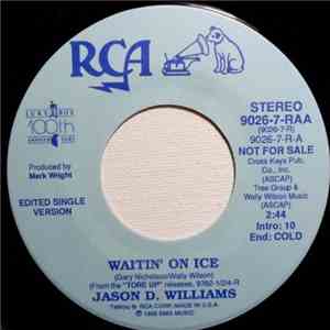 Jason D. Williams - Waitin' On Ice
