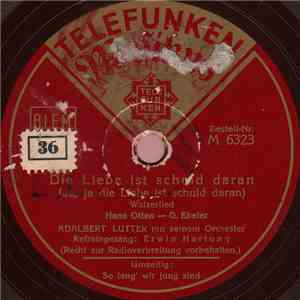 Adalbert Lutter Mit Seinem Orchester - Die Liebe Ist Schuld Daran / So Lang ...