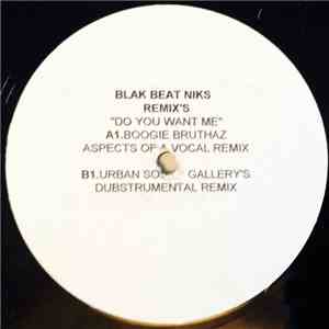 Blak Beat Niks - Do You Want Me (The Remixes)