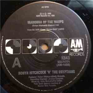 Robyn Hitchcock 'N' The Egyptians - Madonna Of The Wasps