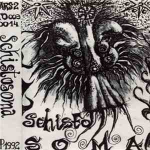 Schistosoma - Schistosoma