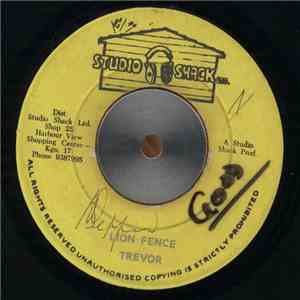 Trevor - Lion Fence