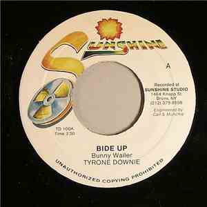 Tyrone Downie / Naturals - Bide Up