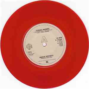 Angelic Upstarts - Teenage Warning