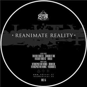 Frixion Fanatic / Introspective Views - Reanimate Reality