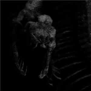 The Council Of Days - Dark Night Of The Soul