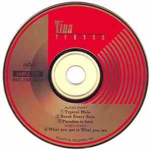Tina Turner - What You Get Is What You See