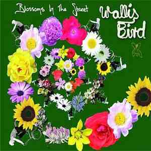 Wallis Bird - Blossoms In The Street