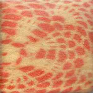Crystal Gamelan Surf / Mark Bradley / Aghori / Royallen - Split