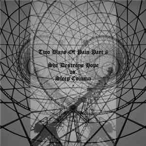 She Destroys Hope / Sleep Column - Two Ways Of Pain Part 8