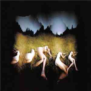 Amorphous Androgynous - The Isness