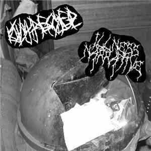 Infected Butthole / Illness Narrative - Split