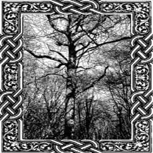 Forest Grave - Visions Of The Ageless Dawn / The Forgotten Spirits Of Times ...