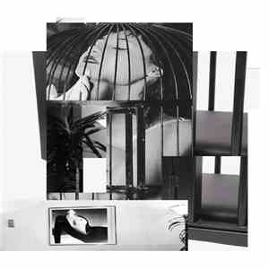 Satin Aviary - Satin Aviary