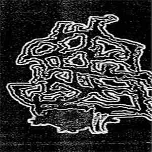 Gerbe Of Life - Untitled