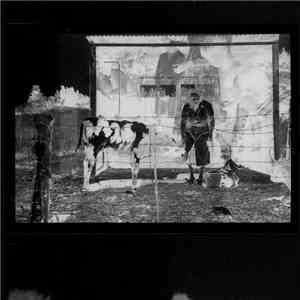 Mafra Silyan - Ghosts & Fortune