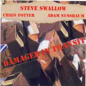 Steve Swallow - Damaged In Transit