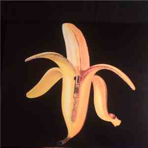 The Dandy Warhols - Welcome To The Monkey House