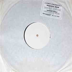 The Prudes - Powerful Brain (Why Don't You Use It?)