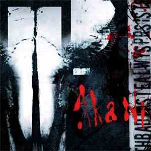 Akani - The Bad Taste Always Persists