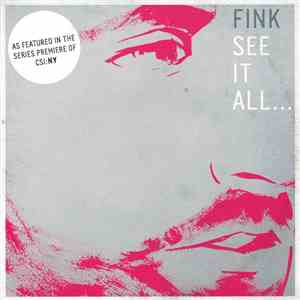 Fink - See It All...