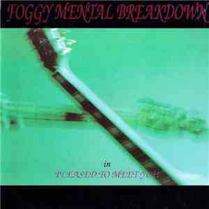 Foggy Mental Breakdown - Pleased To Meet You