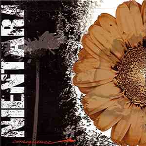 Nientara - Consequence