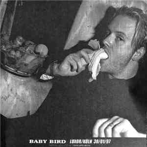 Babybird - Babybird Live in Koln at the Luxor