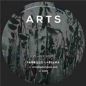 Fabrizio Lapiana - Interdimensional Bug