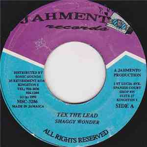 Shaggy Wonder - Tek The Lead