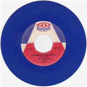 The Spotnicks - Orange Blossom Special
