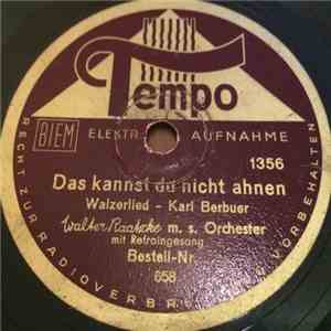 Walter Raatzke M. S. Orchester - Das Kannst Du Nicht Ahnen / Ess Dat Dann N ...