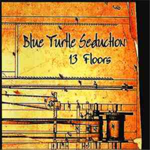 Blue Turtle Seduction - 13 Floors